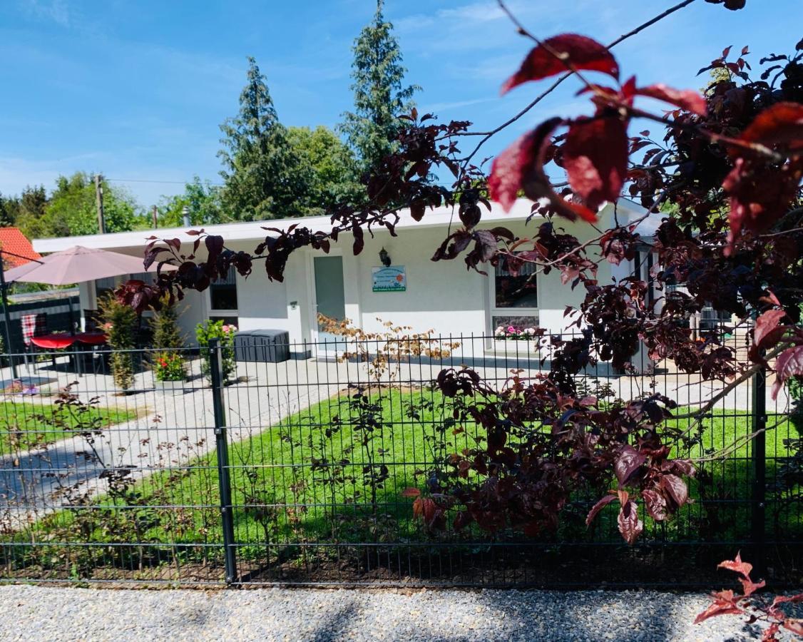 Ferienhaus 2 Im Harz Niehoff Darlingerode Eksteriør billede